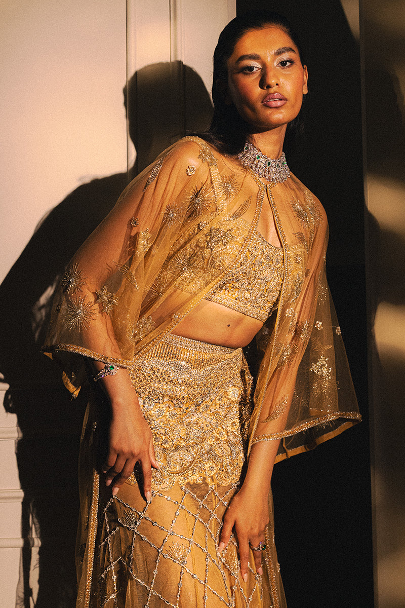 Pakistani Gold Embellished Net Cape Dress (3-Piece) - Image 3