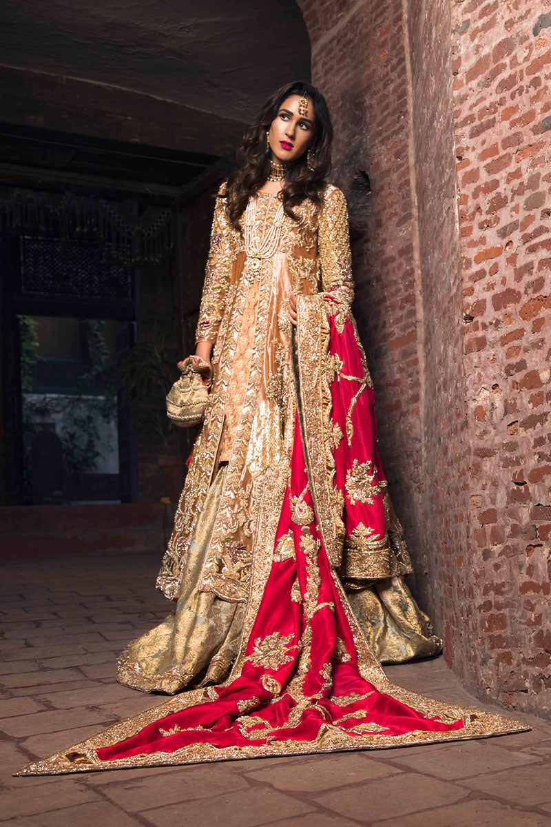 Pakistani Paprika Gold Embellished Tissue & Kamkhab Bridal Gharara (5-Piece) - Image 1