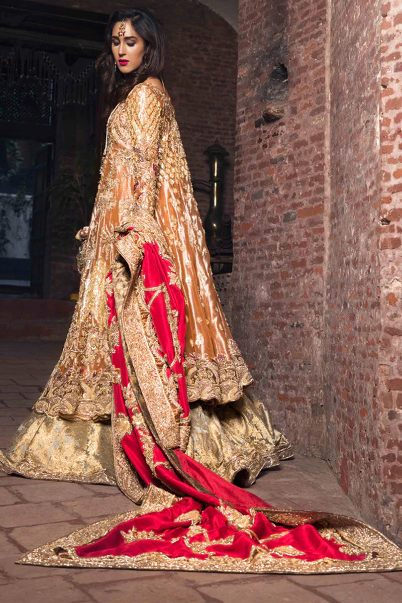 Pakistani Paprika Gold Embellished Tissue & Kamkhab Bridal Gharara (5-Piece) - Image 2