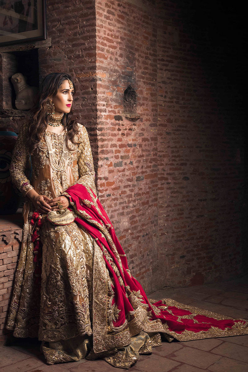 Pakistani Paprika Gold Embellished Tissue & Kamkhab Bridal Gharara (5-Piece) - Image 3