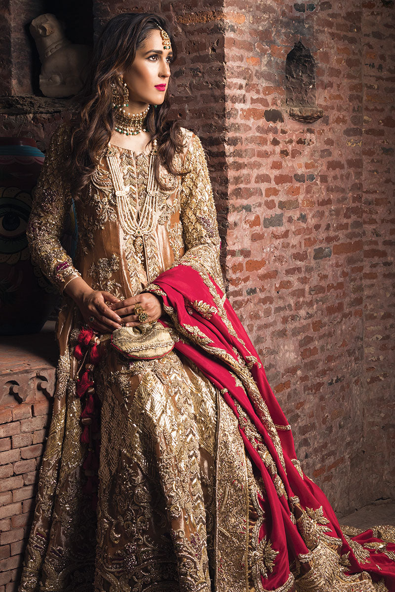 Pakistani Paprika Gold Embellished Tissue & Kamkhab Bridal Gharara (5-Piece) - Image 4