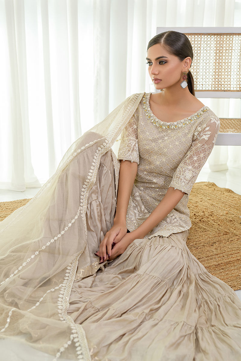 Beige Gold Embroidered Net Gharara (3-Piece) - Image 5