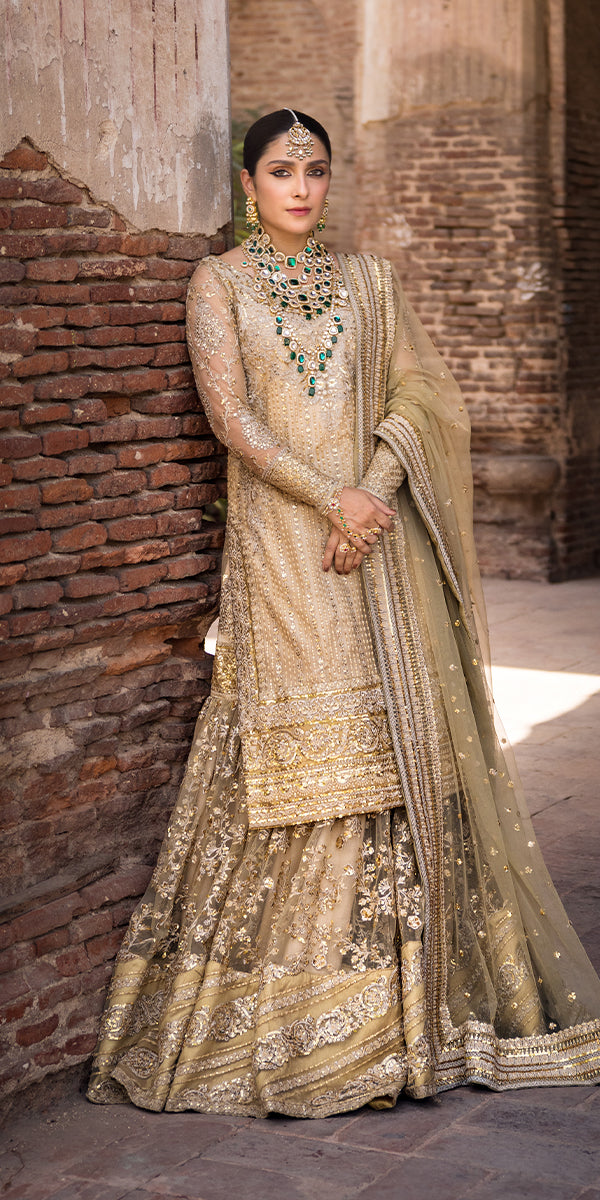 Champagne Embroidered Net & Tissue Gharara (3-Piece) - Image 2