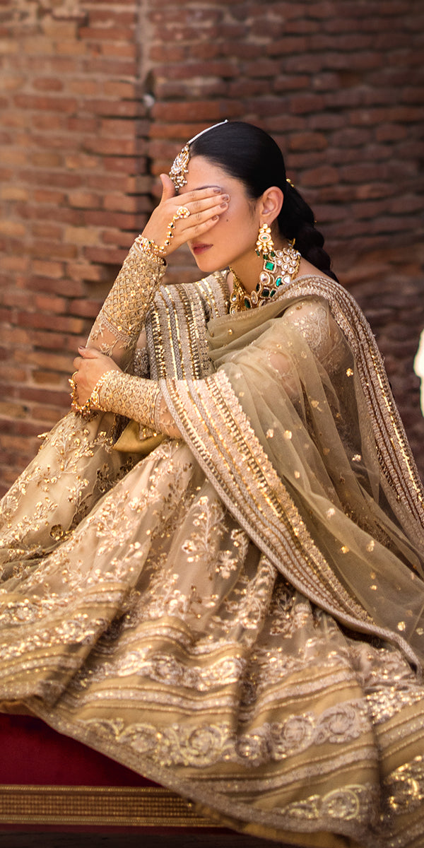 Champagne Embroidered Net & Tissue Gharara (3-Piece) - Image 3