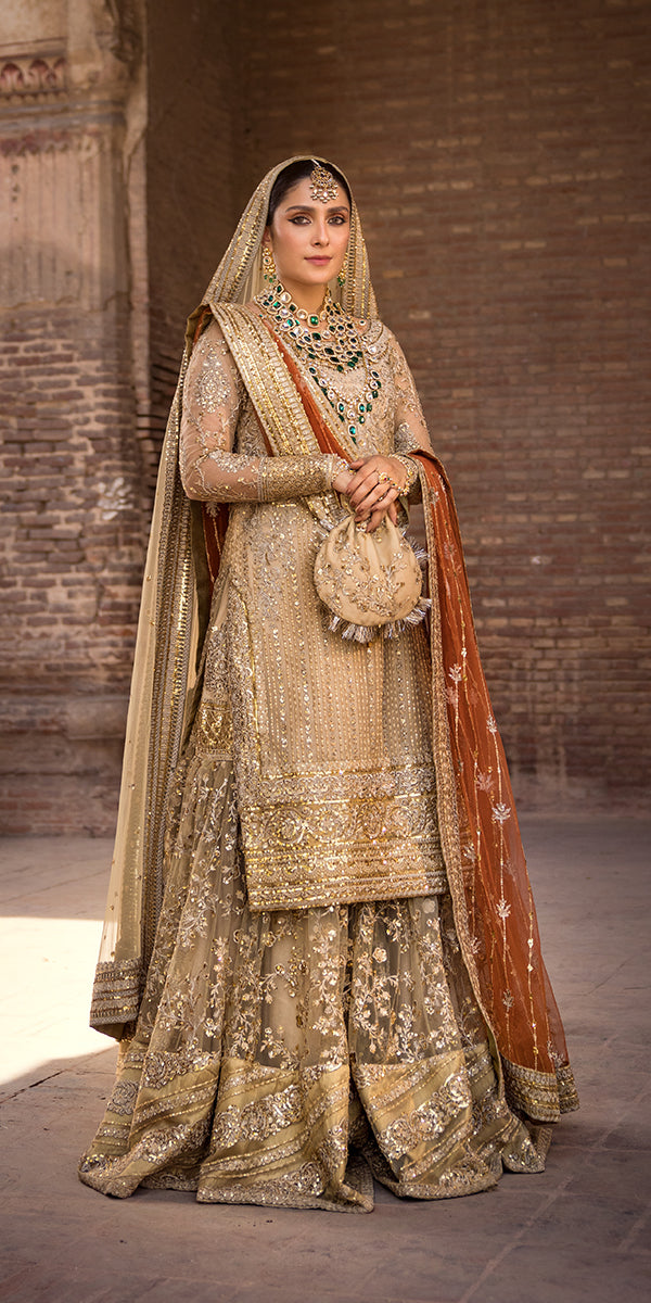 Champagne Embroidered Net & Tissue Gharara (3-Piece) - Image 4