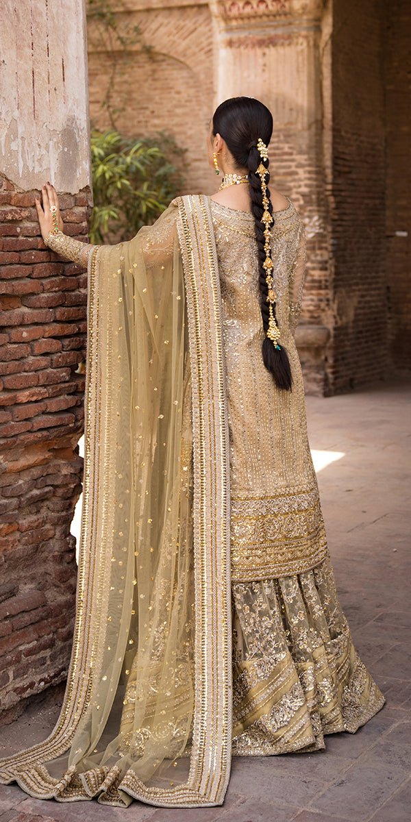 Champagne Embroidered Net & Tissue Gharara (3-Piece) - Image 8