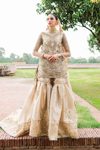 Pakistani Soft Gold Embellished Tissue Gharara (3-Piece) - Image 2