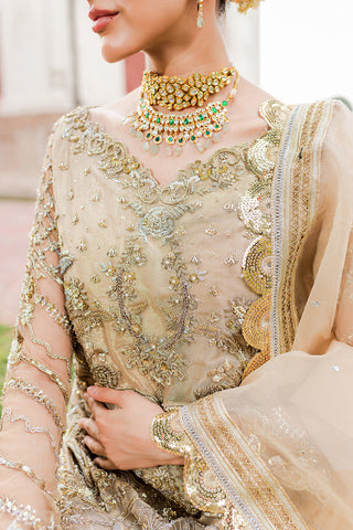 Pakistani Soft Gold Embellished Tissue Gharara (3-Piece) - Image 4