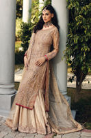 Pakistani Gold Hand Embellished Tissue & Jamawar Gharara (3-Piece) - Image 3