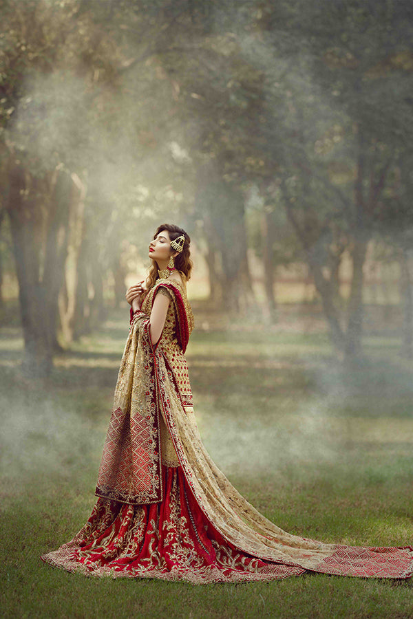 Pakistani Gold Zari Net Bridal Gharara Set (3-Piece) - Image 3