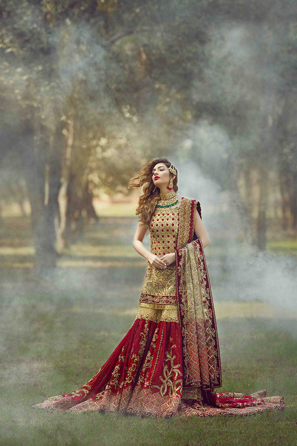 Pakistani Gold Zari Net Bridal Gharara Set (3-Piece) - Image 5