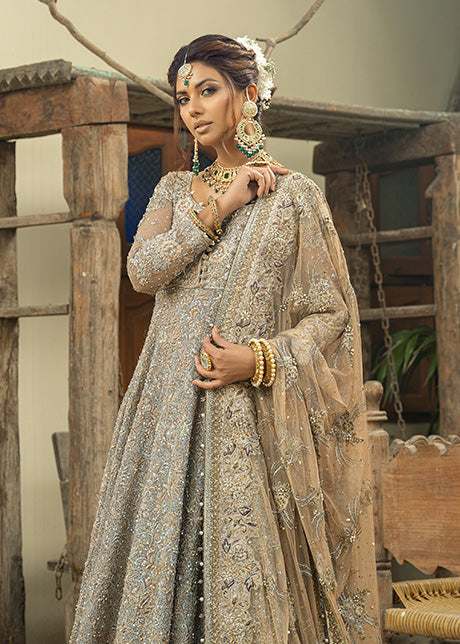 Pakistani Dusky Gold Embellished French Net Gown (2-Piece) - Image 4
