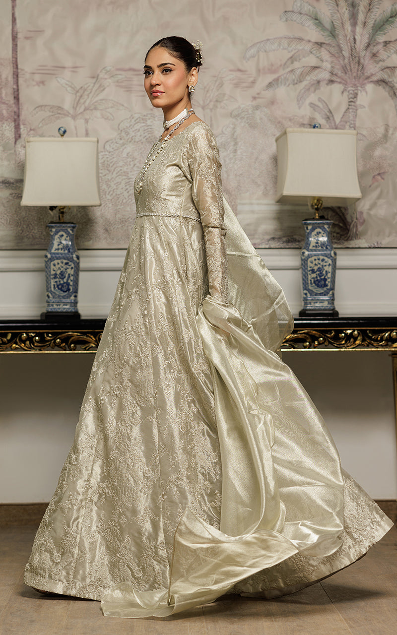 Champagne Embroidered Masoori Maxi Dress (2-Piece) - Image 3