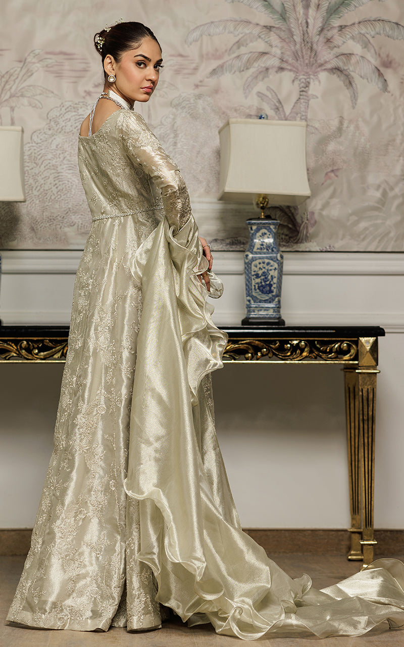 Champagne Embroidered Masoori Maxi Dress (2-Piece) - Image 6