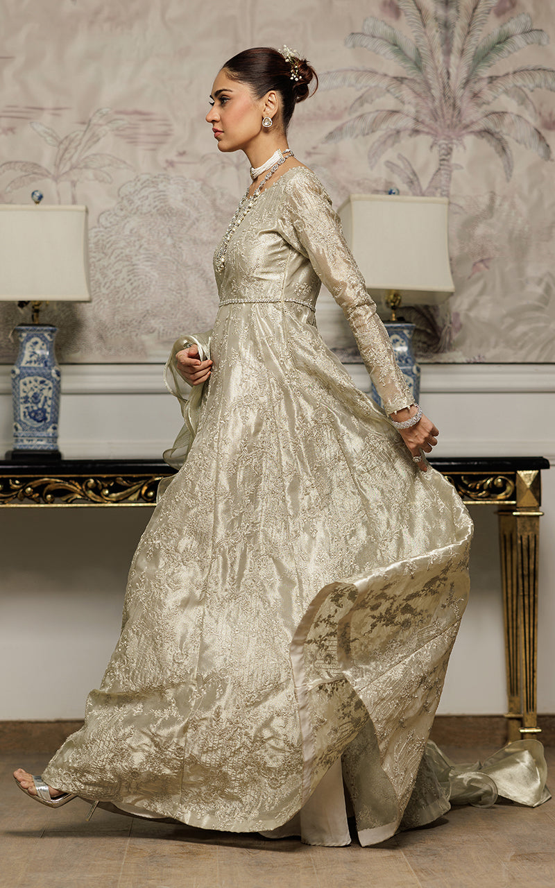 Champagne Embroidered Masoori Maxi Dress (2-Piece) - Image 7