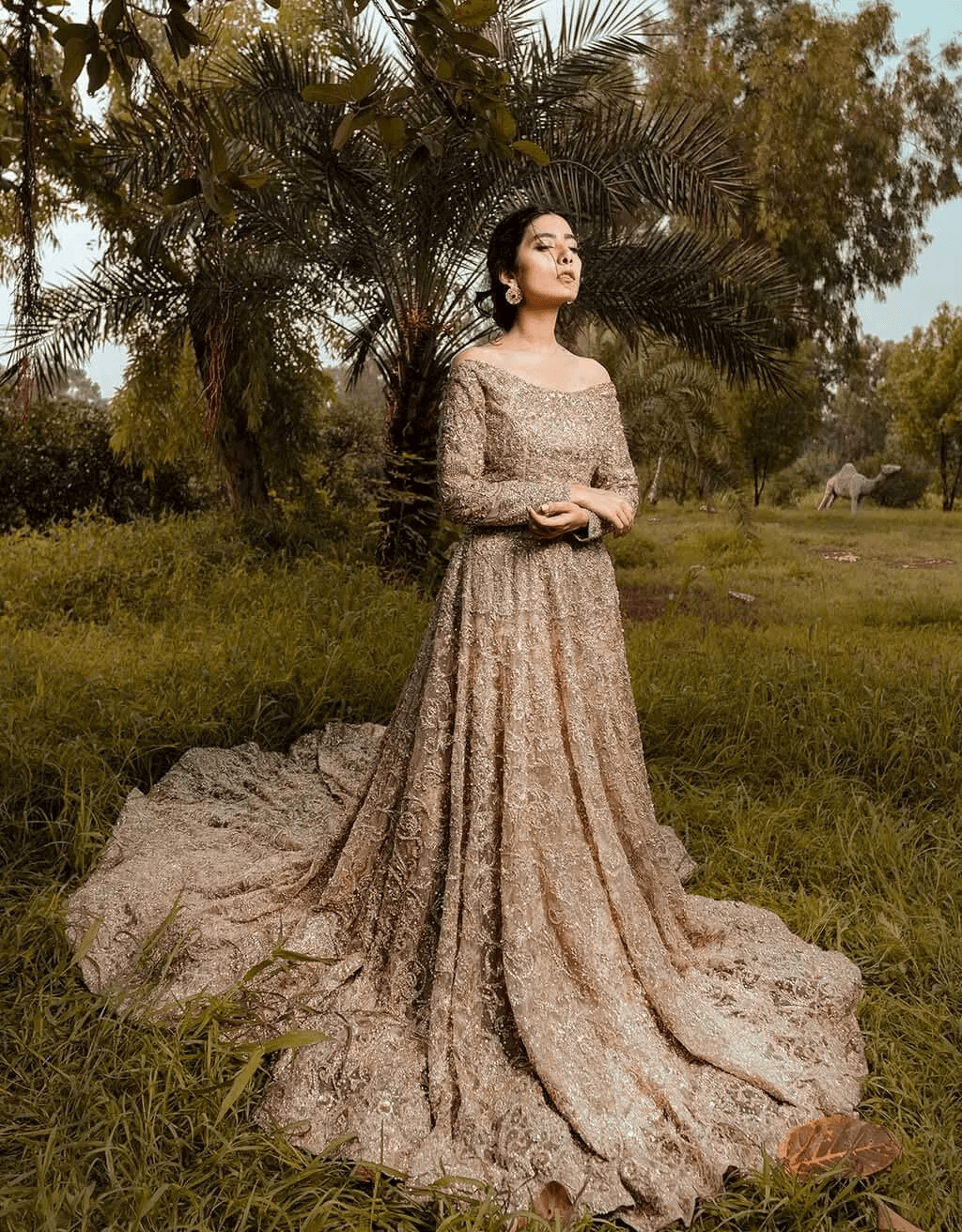 Pakistani Champagne Ari & Threadwork Net Bridal Gown (2-Piece) - Image 1