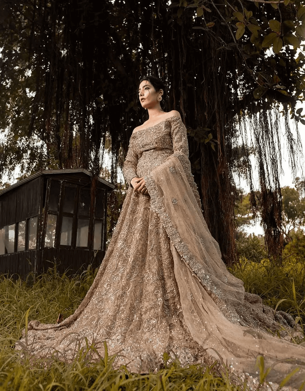 Pakistani Champagne Ari & Threadwork Net Bridal Gown (2-Piece) - Image 4