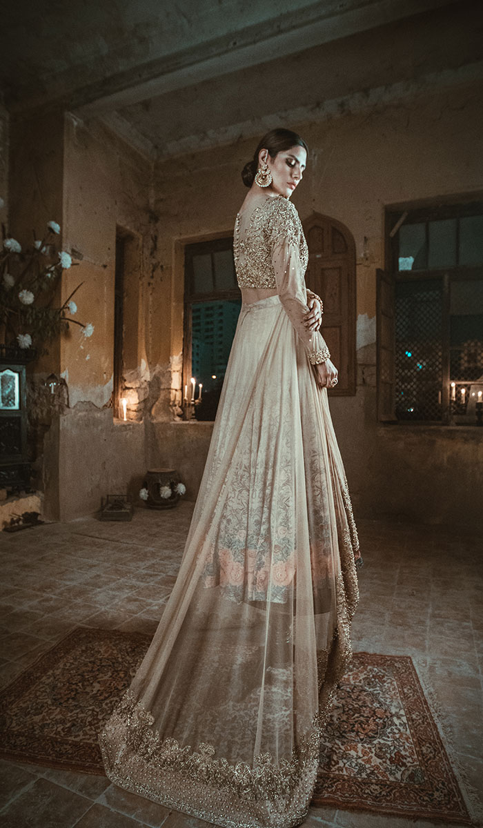 Champagne Embellished Net Bridal Gown (1-Pc) - Image 1