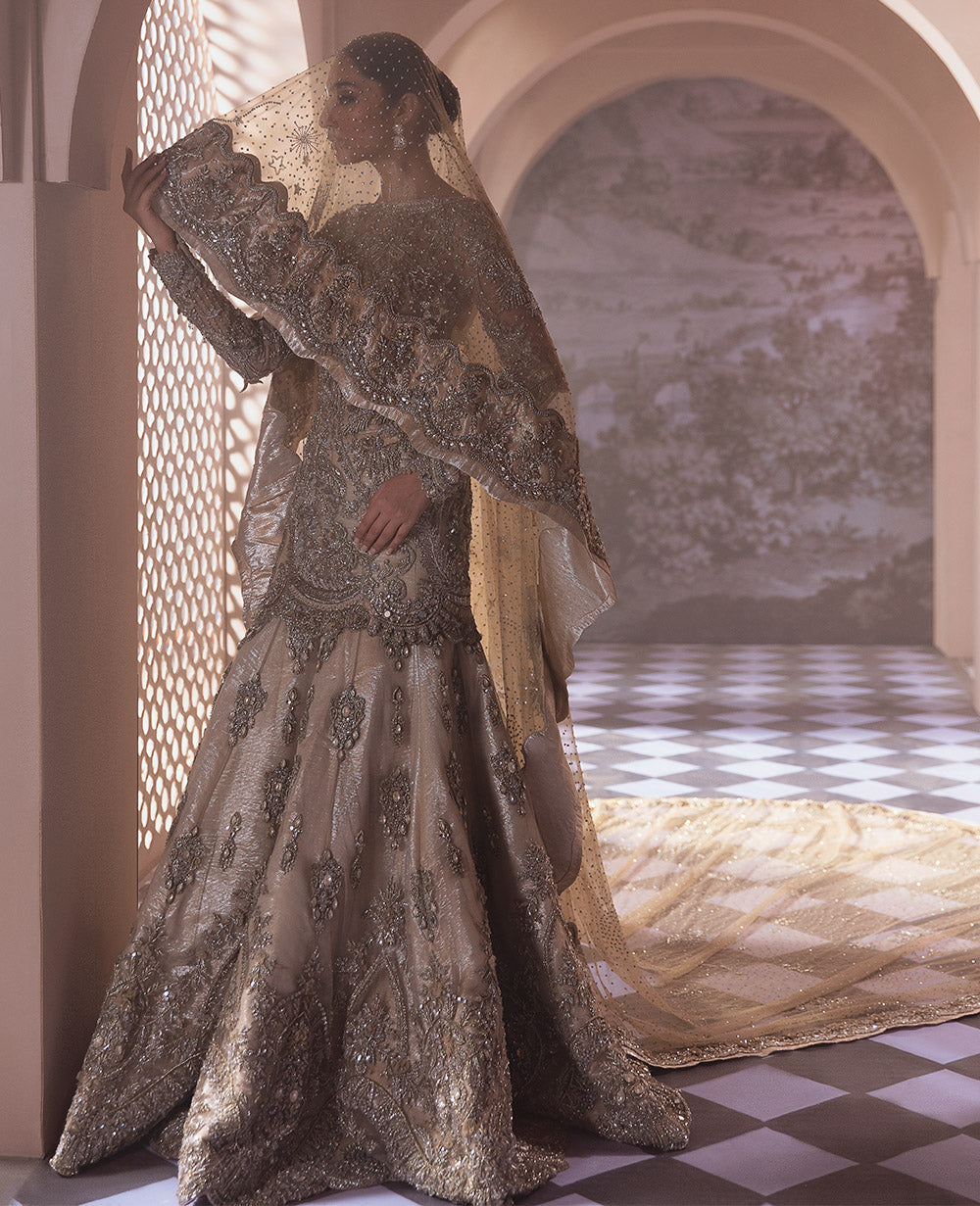 Champagne Silver Embellished Net Gown (2-Piece) - Image 3