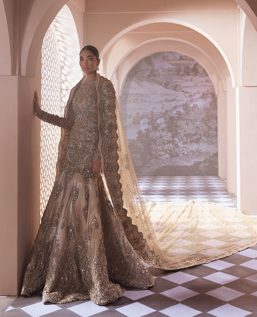 Champagne Silver Embellished Net Gown (2-Piece) - Image 6