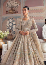 Champagne Embellished Net Bridal Gown (2-Piece) - Image 3