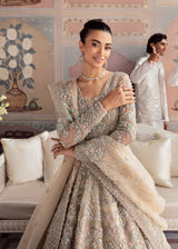 Champagne Embellished Net Bridal Gown (2-Piece) - Image 4