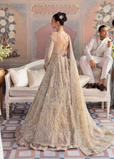 Champagne Embellished Net Bridal Gown (2-Piece) - Image 6