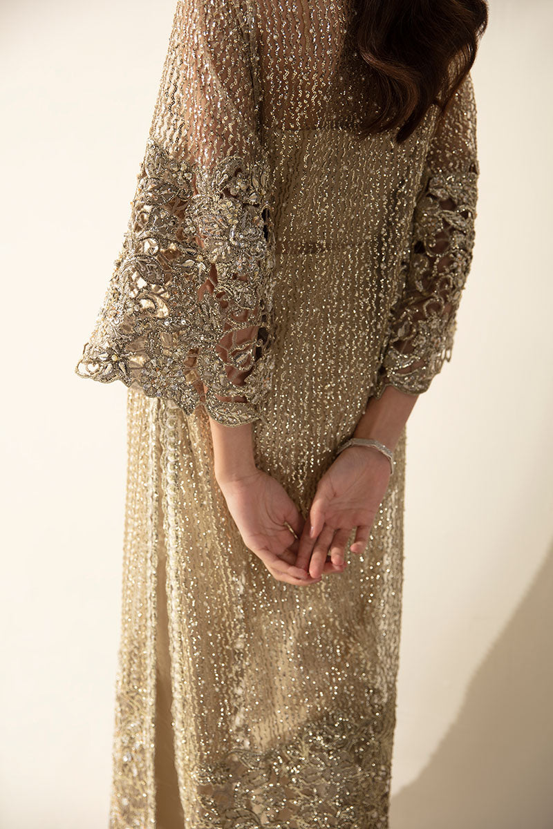 Pale Gold Embellished Net Gown (2-Piece) - Image 3