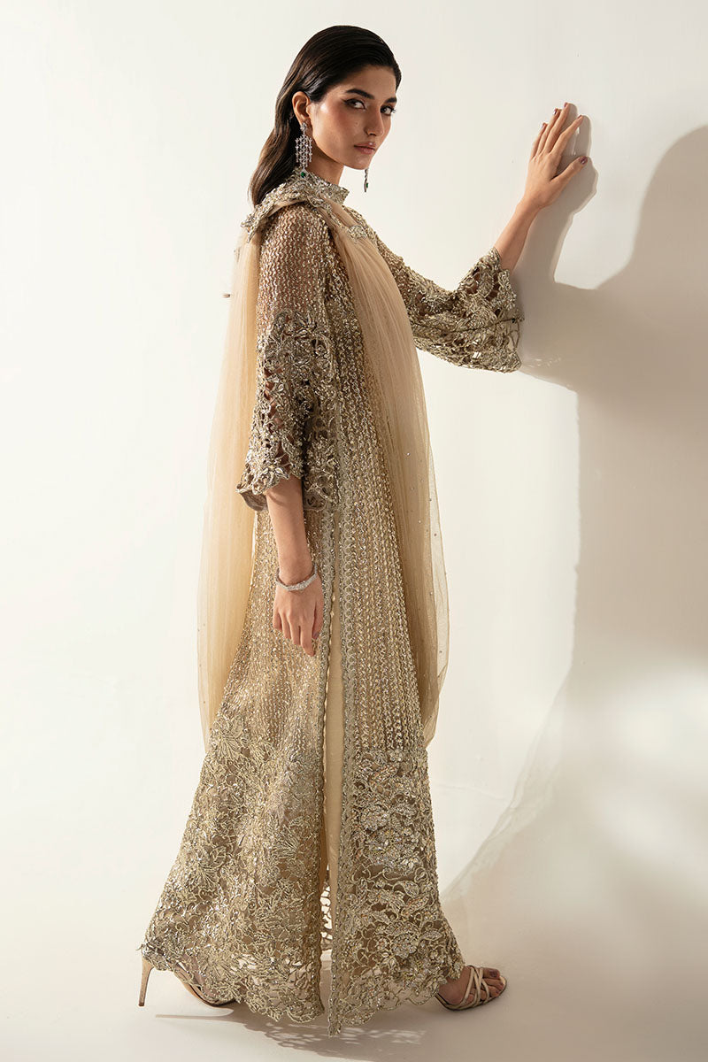 Pale Gold Embellished Net Gown (2-Piece) - Image 9