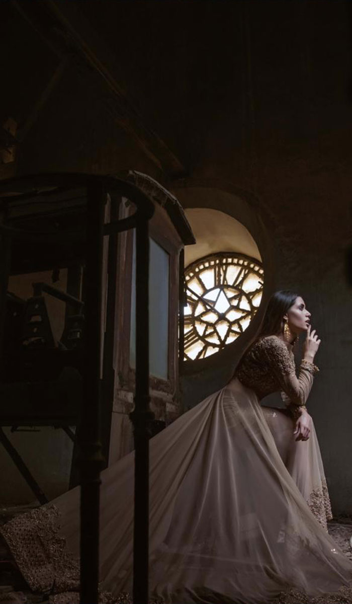 Pakistani Champagne Embellished Net Bridal Gown (1-Pc) - Image 1