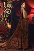 Gold Embellished Net Gown with Red Lehnga (3-Piece) - Image 4