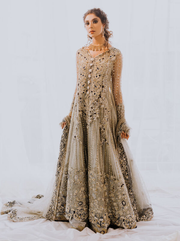 Pakistani Champagne Embellished Net Front-Open Gown (2-Piece) - Image 1
