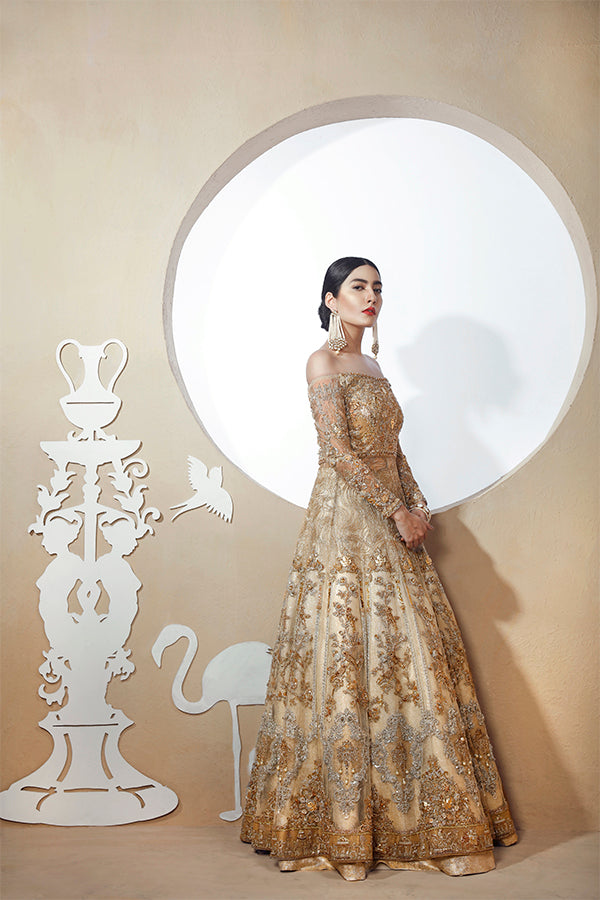Indian Gold Embroidered Net Gown (2-Piece) - Image 4