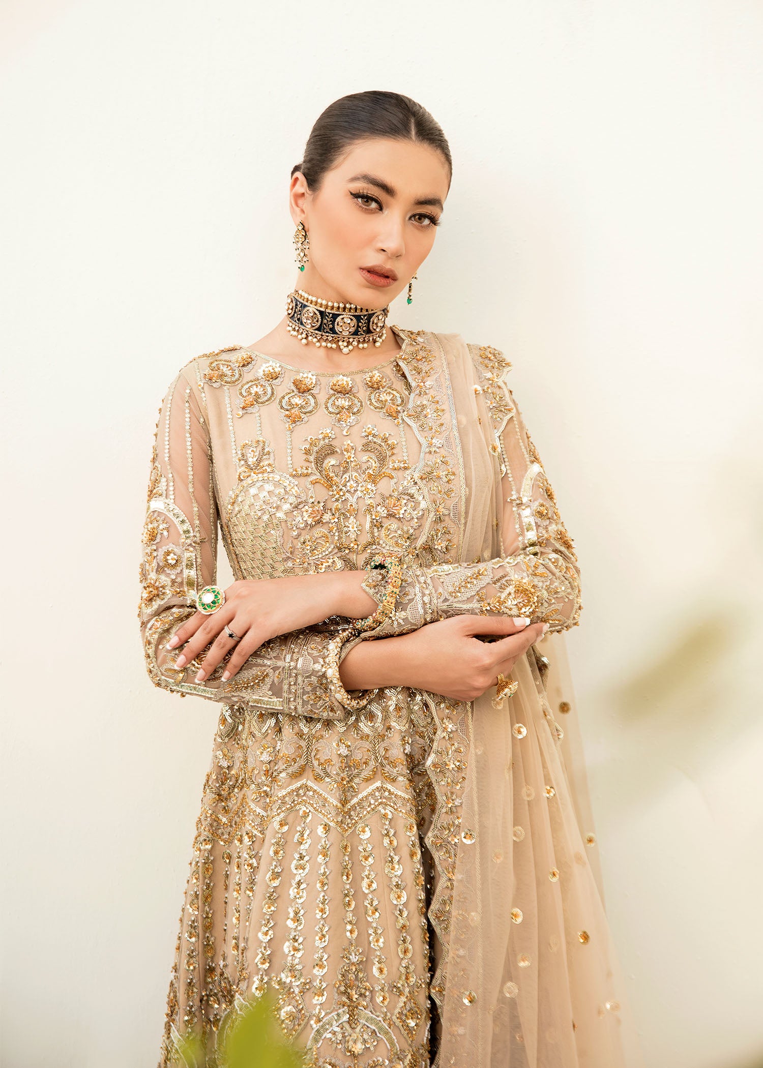 Pakistani Champagne Hand-Embellished Net Panelled Gown (2-Piece) - Image 5