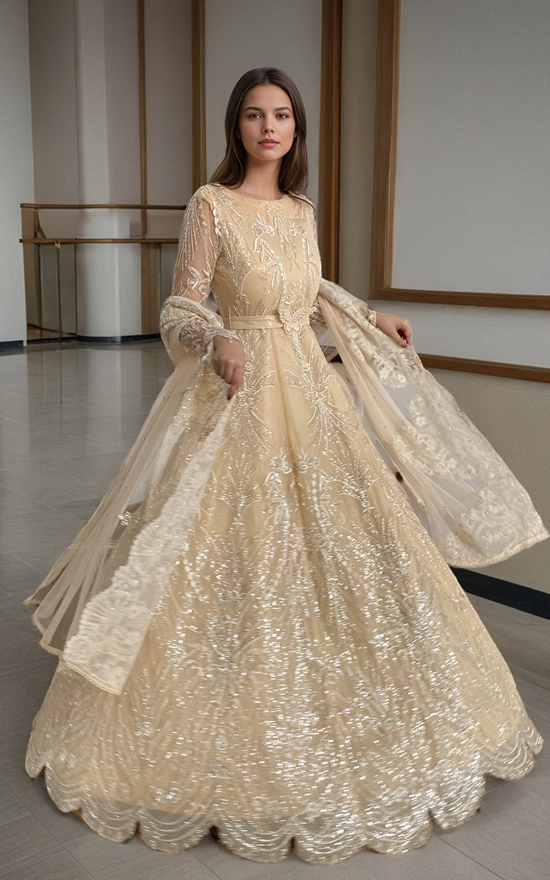 Pakistani Champagne Embroidered Net Maxi Dress (2-Piece) - Image 1