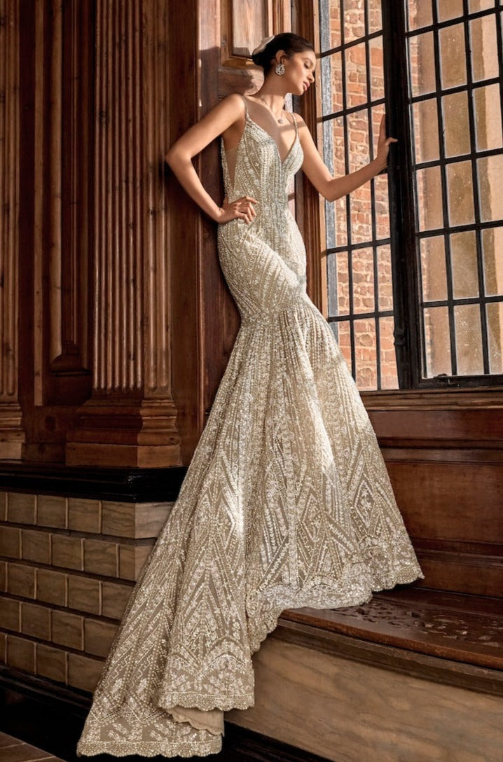 Indian Champagne Sequin Beaded Net Fit-and-Flare Gown (1-Pc) - Image 1