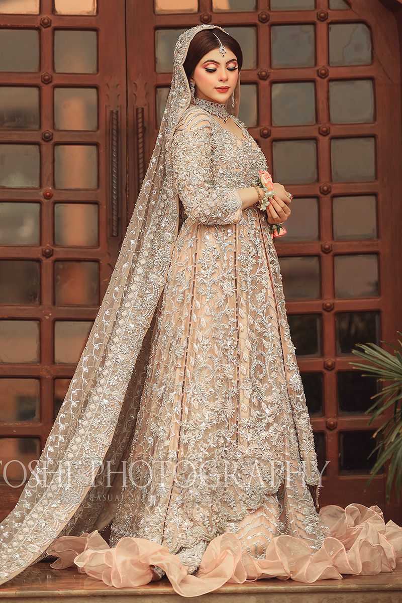 Pakistani Champagne Silver Embroidered Net Bridal Gown (2-Piece) - Image 1