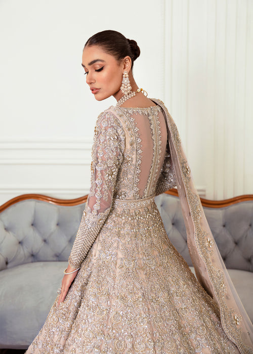 Pakistani Champagne Embellished Net Bridal Gown (2-Piece) - Image 6