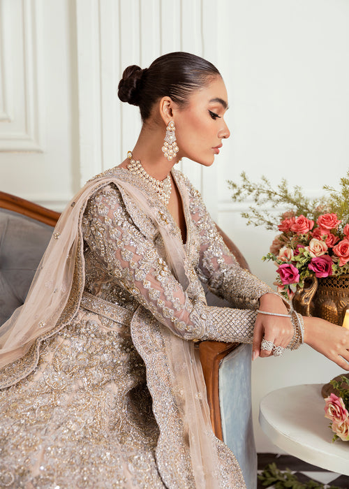 Pakistani Champagne Embellished Net Bridal Gown (2-Piece) - Image 7