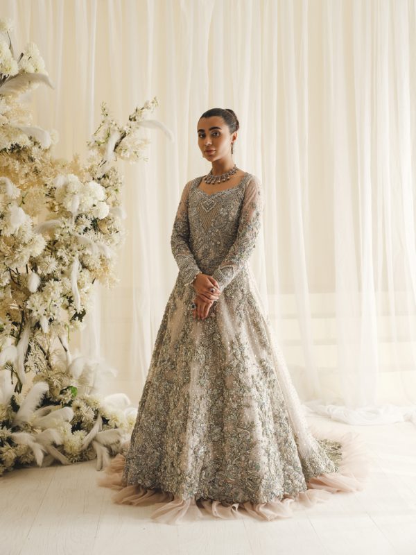 Champagne Silver Embellished Net Silk Bridal Gown (2-Piece) - Image 1