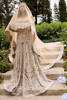 Pakistani Nude Gold Embroidered Net Bridal Gown (2-Piece) - Image 10