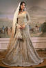 Pakistani Nude Gold Embroidered Net Bridal Gown (2-Piece) - Image 5