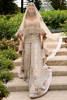 Pakistani Nude Gold Embroidered Net Bridal Gown (2-Piece) - Image 9