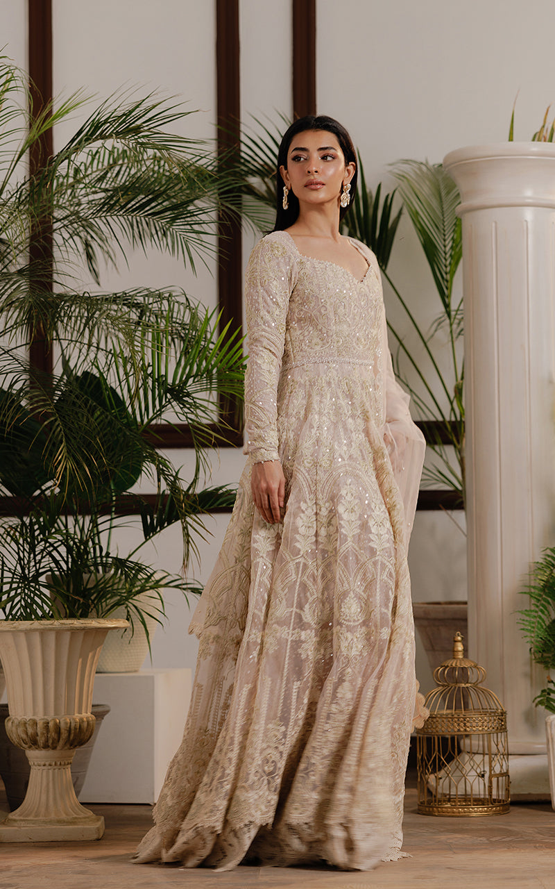 Pakistani Champagne Embroidered Net Maxi Dress (2-Piece) - Image 3