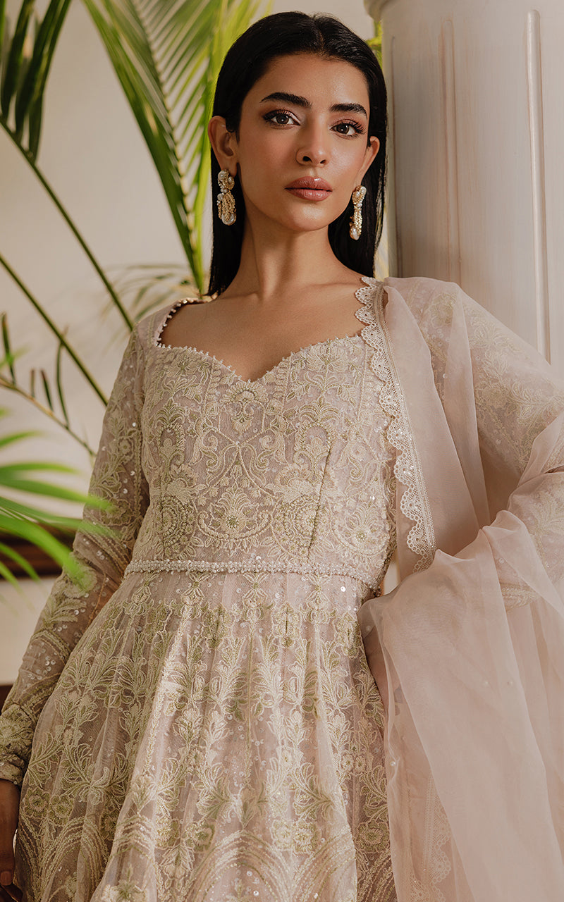 Pakistani Champagne Embroidered Net Maxi Dress (2-Piece) - Image 5