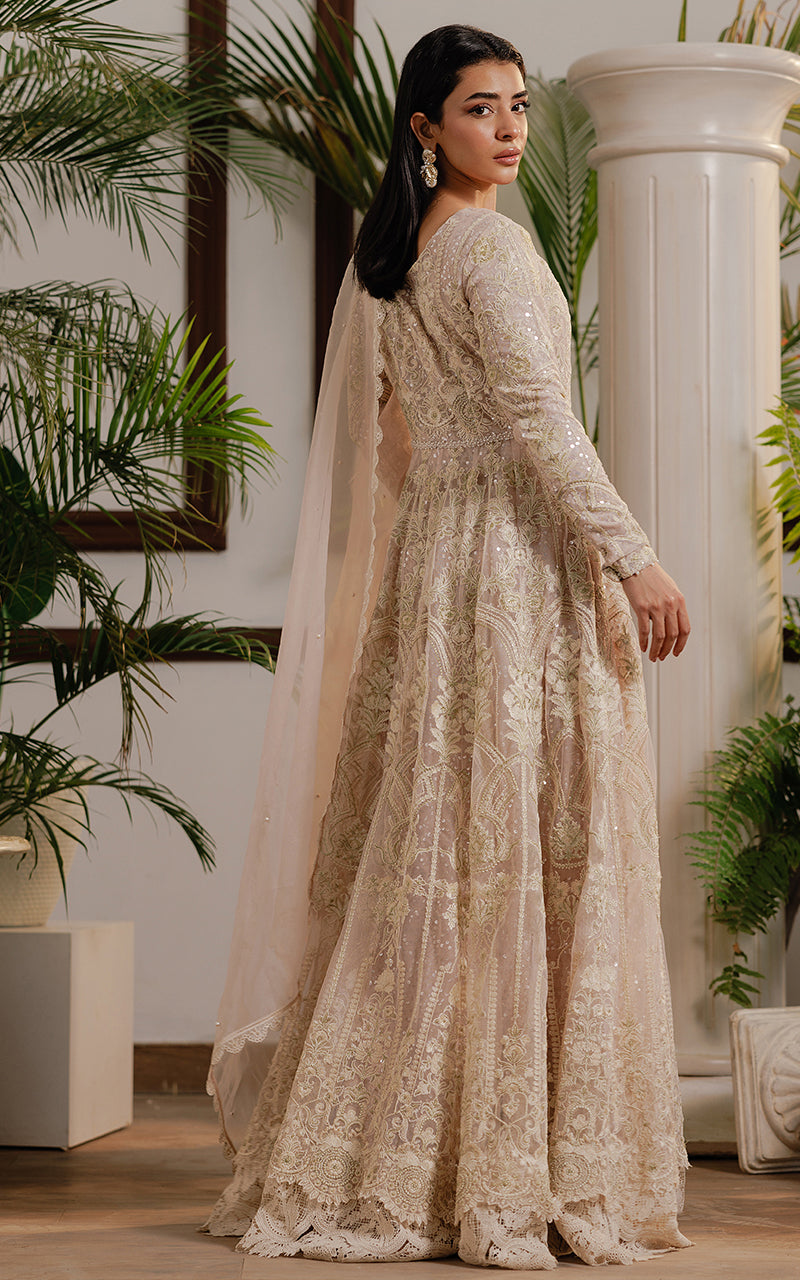 Pakistani Champagne Embroidered Net Maxi Dress (2-Piece) - Image 6