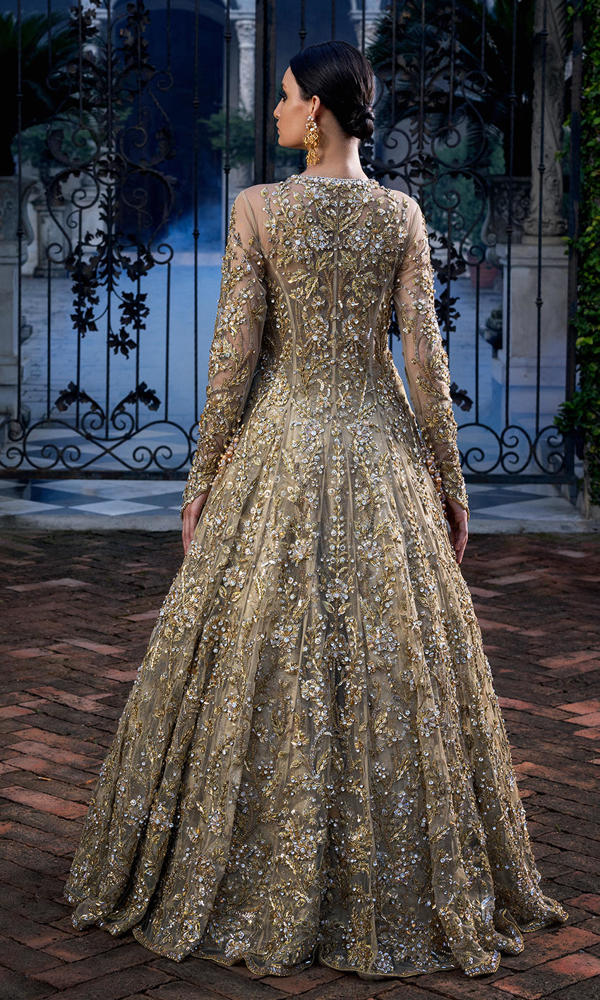 Champagne Embellished Net Front-Open Gown (1-Pc) - Image 4
