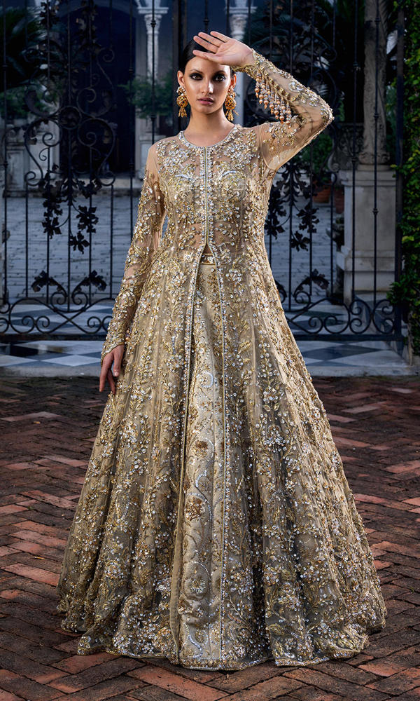 Champagne Embellished Net Front-Open Gown (1-Pc) - Image 6