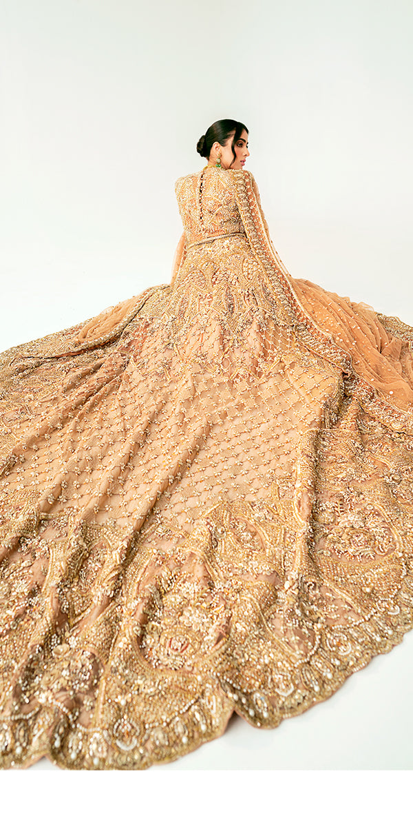 Pakistani Rust Gold Embellished Net Silk Bridal Gown (2-Piece) - Image 2