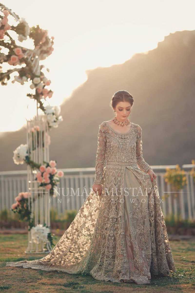 Champagne Embellished Net Organza Bridal Gown (1-Pc) - Image 1